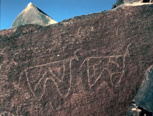 Förhistoria, hällkonst: gravsten av representationen av boskap. Tazina stil. Stenåldern 5000-2000 f.Kr. Taghit, Haut plateau du Hoggar (Ahaggar), Algeriet av Prehistoric Prehistoric