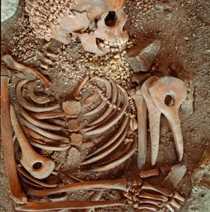 Förhistoria: skelett och begravningsbyxa av tonåringar sägs om den unge prinsen från Arene Candides grotta (Finale Ligure): halsband av snäckor, rådjurshorn och flinta. Stenåldern, övre paleolitikum. Genes, Museo di archeologia Ligure av Prehistoric Prehistoric