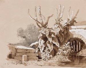 Studie av växter vid ett dike, med tillägg av en instruktör, 1856 (penna, sepia tvättar och gouache på papper) av Prince Gaetano Maria Federico di Borbone