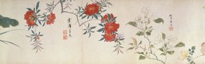 Blommor, Handscroll (bläck och färg på papper) av Qing Dynasty Chinese School