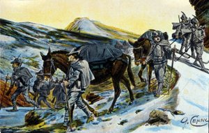 Första världskriget: grupp italienska alpjägare i erkännande med sina mulor 1915. Illustration av Quinto Cenni (1845-1917) av Quinto Cenni
