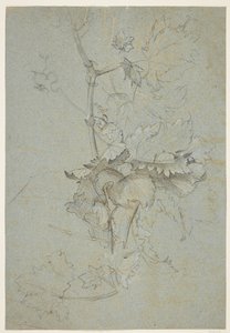 Växtstudie av Rachel Ruysch