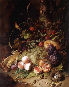 Stilleben med frukt och insekter,