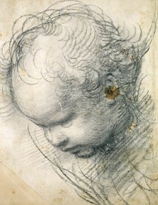 Cherubhuvud (svart krita och kol på papper) av Raffaello Sanzio Raphael