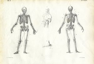 Människan, 1863-79 av Raimundo Petraroja