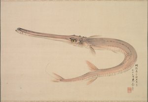 Nålfisk levde, 1870. av Raisho Nakajima