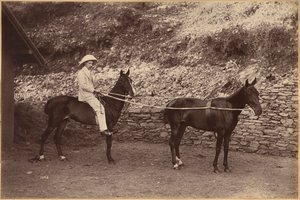Kapten H. S. Rawhinson (framsida) av Raja Deen Dayal