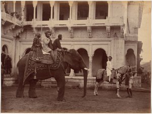 Ramkishore Singh från Rewa av Raja Deen Dayal
