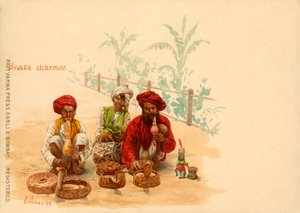 Ormtjusare, 1899.