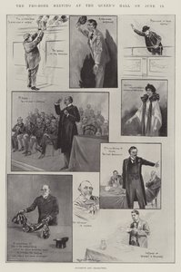 Pro-Boer-mötet i Queen
