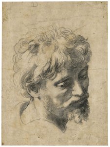 ""Porträtt av en ung apostel"" (Head of Young Apostle) Kol på papper av Raphael (Raffaello Sanzio) (1483-1520) Privat samling