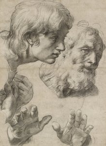 Studier av två apostlars huvuden och deras händer (svart krita berörd med vitt på gråaktigt papper) av Raphael
