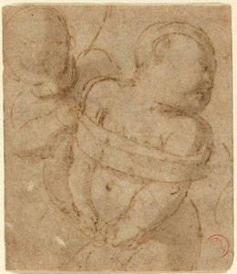 Amor bunden av Raphael
