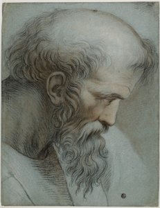 Chef för Pythagoras av Raphael
