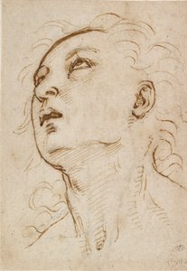 Huvudet för en ung man som tittar uppåt, c1497-c1504