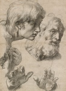 Studier av två apostlars huvuden och deras händer, 1500-talet av Raphael