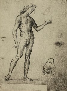 Manlig nakenstudie; teckning av Raphael. Gallerie dellAccademia, Venedig