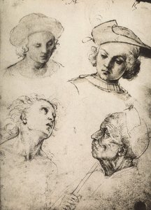 Studie av fyra manliga ansikten; teckning av Raphael. Gallerie dellAccademia, Venedig av Raffaello Sanzio Raphael