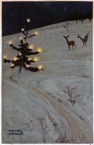 Julgran i snön