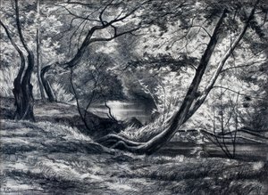 Undervegetation med flod (kol)