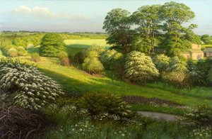 Landskap av Raymond Booth