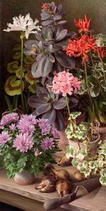 Oktoberblommor av Raymond Booth