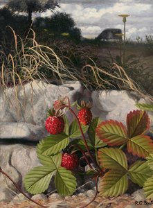 Jordgubbar (olja på pannå) av Raymond Booth