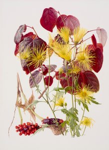 Ukon tachibana (olja på papper) av Raymond Booth