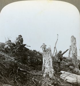Överfall i Trones Wood, Somme, Frankrike, första världskriget, 1916 av Realistic Travels Publishers