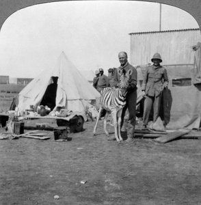 Sydafrikanska skyttar med sin husdjurszebra, Östafrika, första världskriget, 1914-1918. av Realistic Travels Publishers