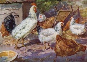 Illustration för My Farm (färg litho)