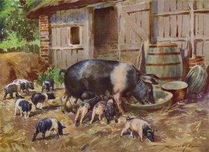 Illustration för My Farm (färg litho) av Reginald Mills
