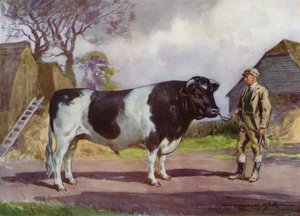 Illustration för My Farm (färg litho)