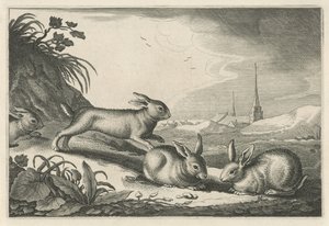 Dune landskap med kaniner Diversa Animalia Quadrupedia (serietitel)