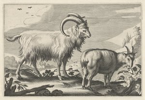 Kuperat landskap med två getter Diversa Animalia Quadrupedia (serietitel)