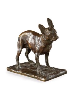Fransk bulldog, liten modell, 1905