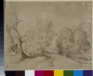En skogsbevuxen väg, ca 1650 (penna och bläck på papper) av Rembrandt Harmensz. van Rijn