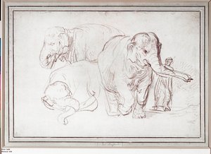 Tre elefanter. Blyertsteckning (teckning) av Rembrandt Harmensz. van Rijn