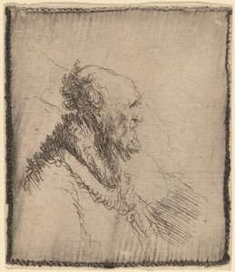 Skallig gubbe med kort skägg i profil av Rembrandt van Rijn