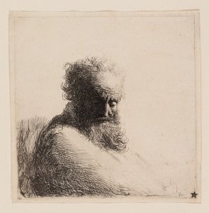 Byst av en gammal skäggig man, tittar ner, tre fjärdedelar höger av Rembrandt van Rijn