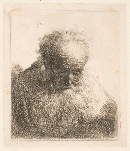 Byst av en äldre man med fladdrande skägg: Huvudet böjt framåt: Vänster axel utan skuggning av Rembrandt van Rijn