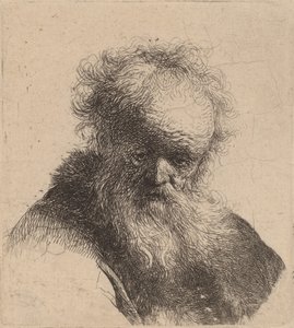 Byst av en gammal man med flödande skägg och vit ärm, ca. 1630. av Rembrandt van Rijn