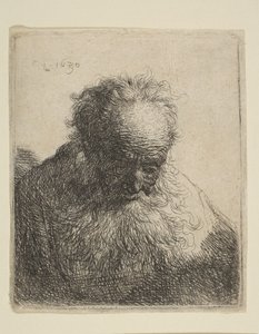 Byst av en gammal man med flödande skägg: huvudet böjt framåt: vänster axel oskuggad, 1630. av Rembrandt van Rijn