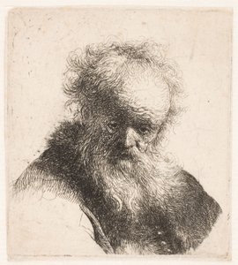 Byst av en äldre man med fladdrande skägg och vit ärm av Rembrandt van Rijn