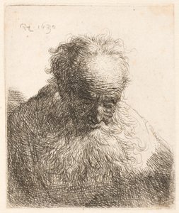 Byst av en äldre man med fladdrande skägg: huvudet böjt framåt; vänster axel utan skugga av Rembrandt van Rijn