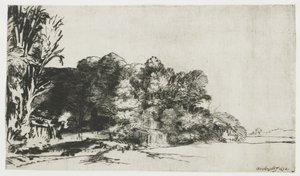 Trädklump med utsikt av Rembrandt van Rijn