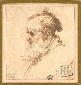 Huvudet på en skäggig man i profil till vänster av Rembrandt van Rijn