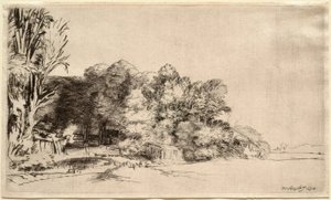 Landskap med en träddunge av Rembrandt van Rijn