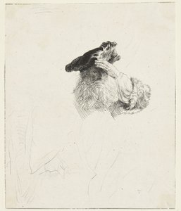 En gammal man som skuggar ögonen med handen av Rembrandt van Rijn