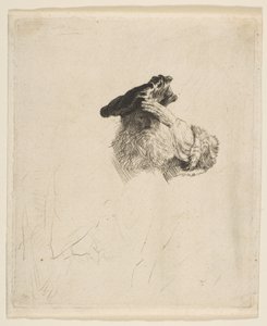 Gammal man skuggar sina ögon med sin hand, ca. 1639. av Rembrandt van Rijn